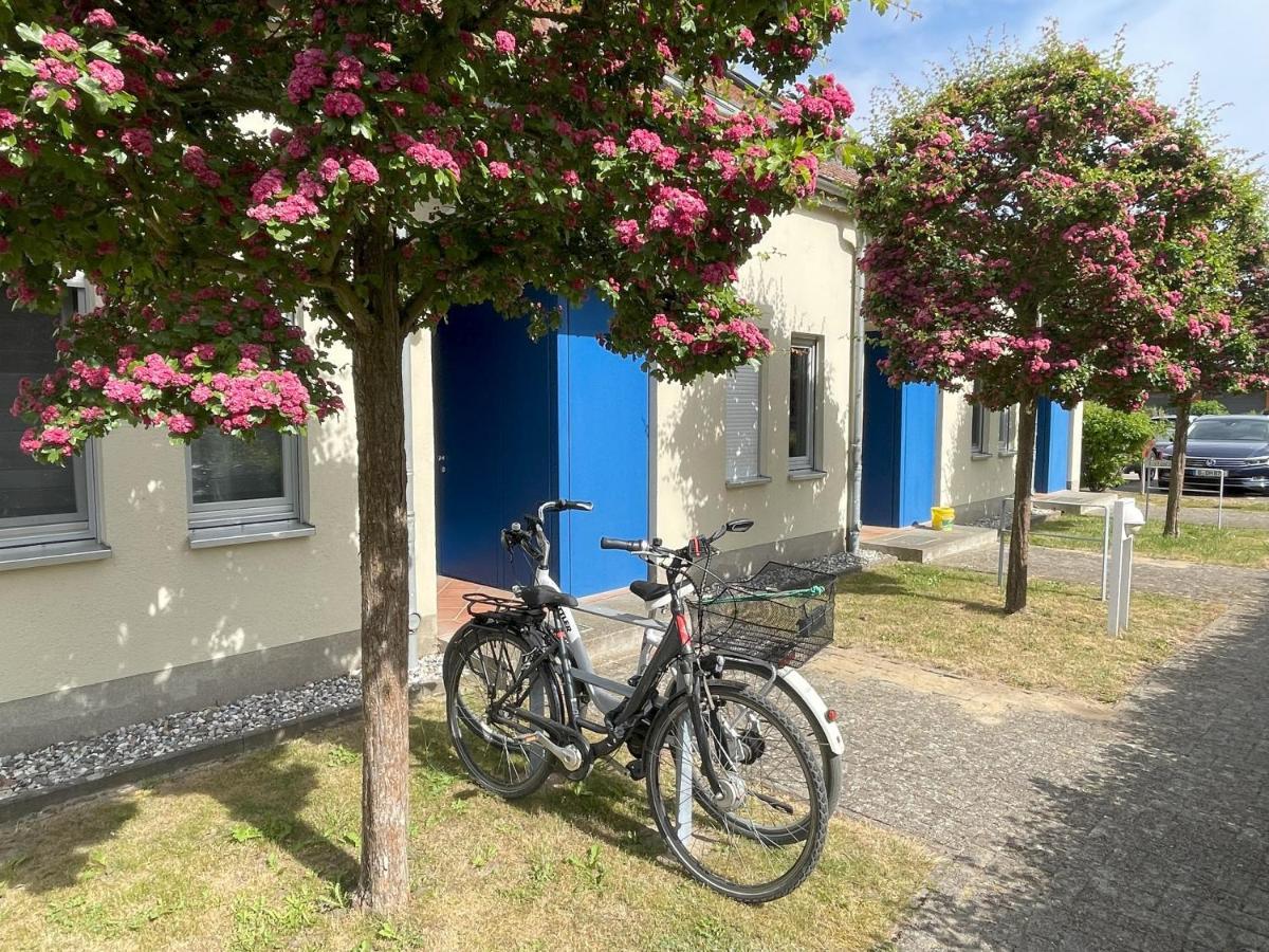 Ferienwohnung Seeterrassen Dewichow Exterior foto